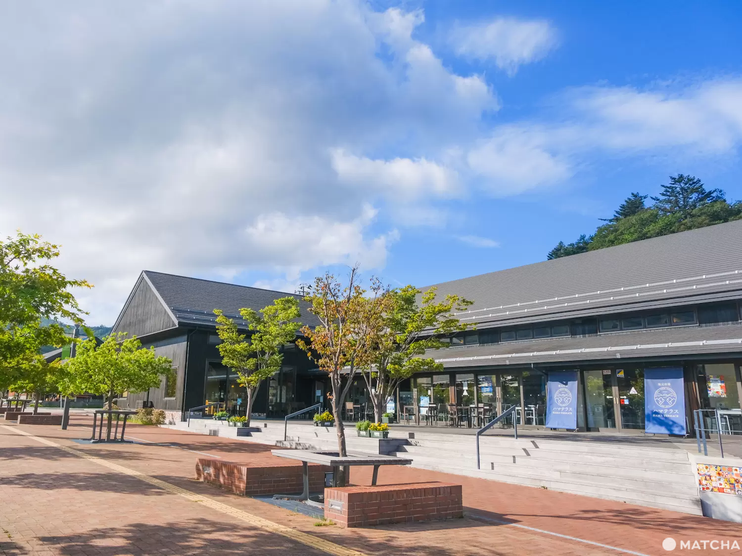 寿司だけじゃない！宮城県女川町で「かまぼこ」を楽しもう