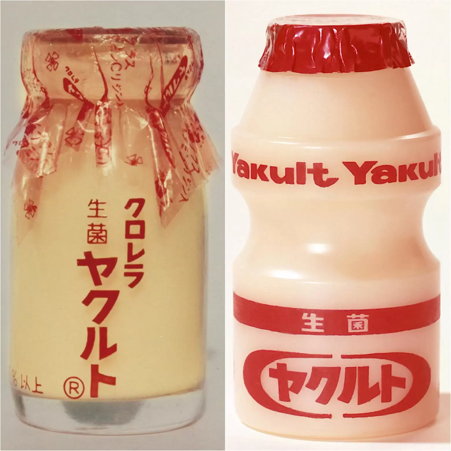 おなかに良いだけではない！日本の乳製品乳酸菌飲料「ヤクルト」の秘密を大公開