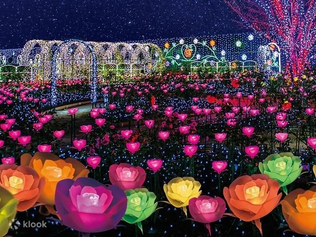 8 Amazing Autumn Tours to Take and See the Foliage