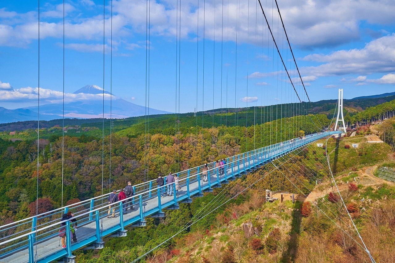 8 Amazing Autumn Tours to Take and See the Foliage