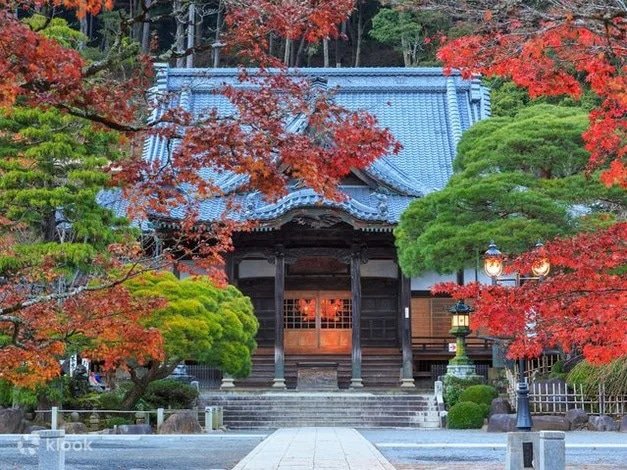 8 Amazing Autumn Tours to Take and See the Foliage