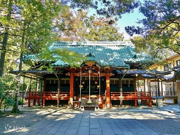 8 Amazing Autumn Tours to Take and See the Foliage