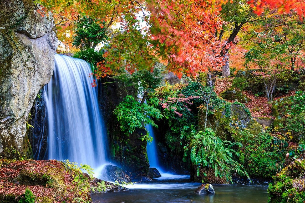Top 8 Autumn Foliage Tours in Japan: Mt. Fuji, Hokkaido, and More