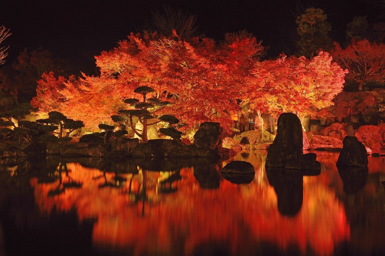 Top 8 Autumn Foliage Tours in Japan: Mt. Fuji, Hokkaido, and More