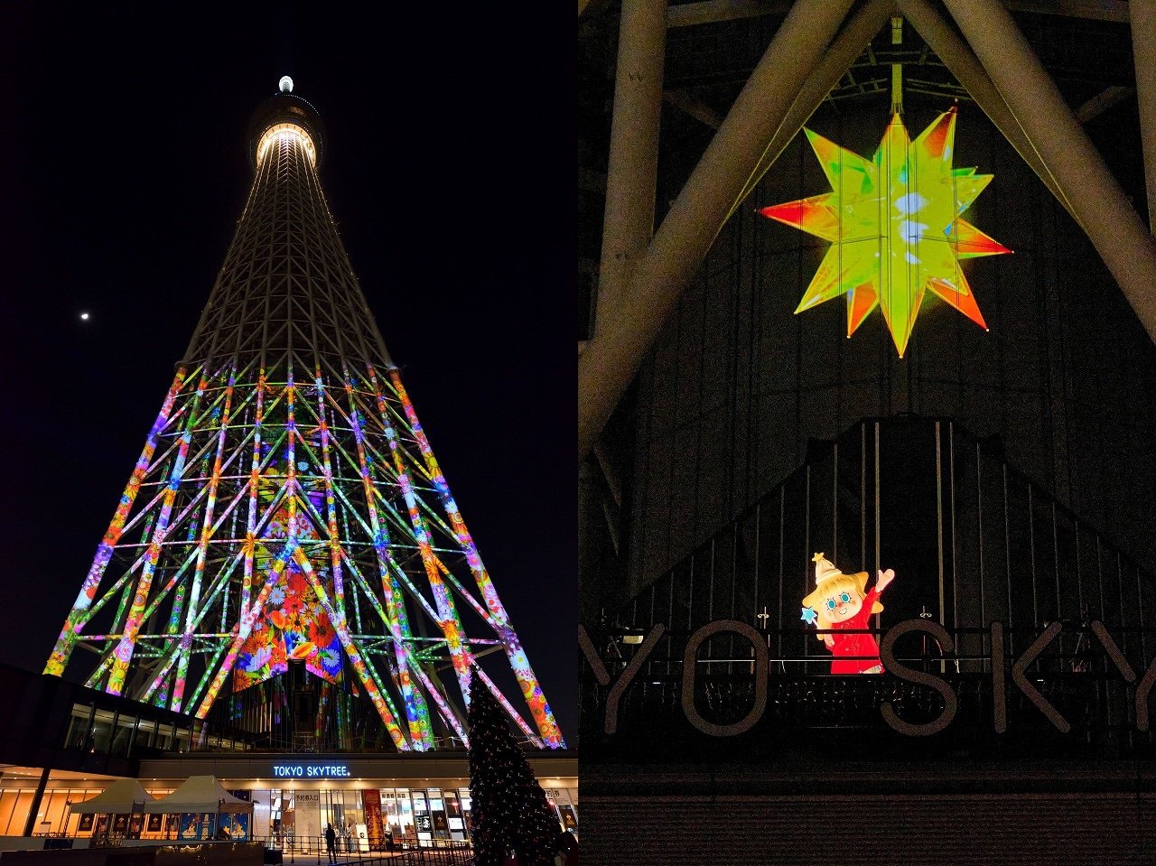 Winter Illuminations in Tokyo