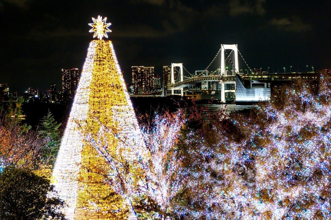 Winter Illuminations in Tokyo