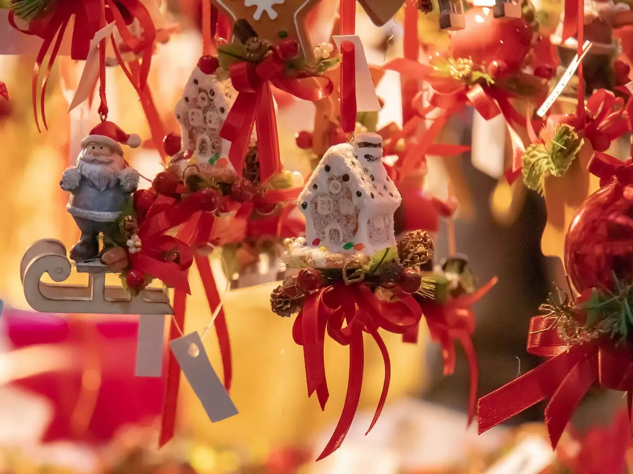 Winter Illuminations in Tokyo