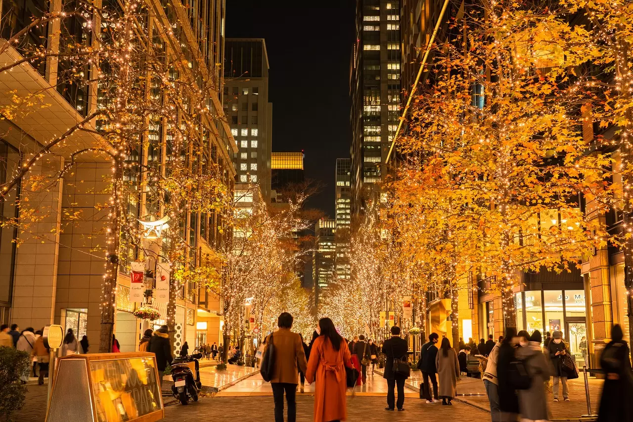 Winter Illuminations in Tokyo