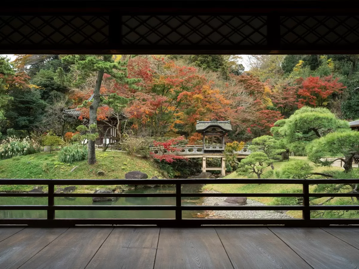 橫濱「三溪園」9年來二次公開！夜間楓葉點燈、紅葉散步道，飽覽秋季日夜絕景