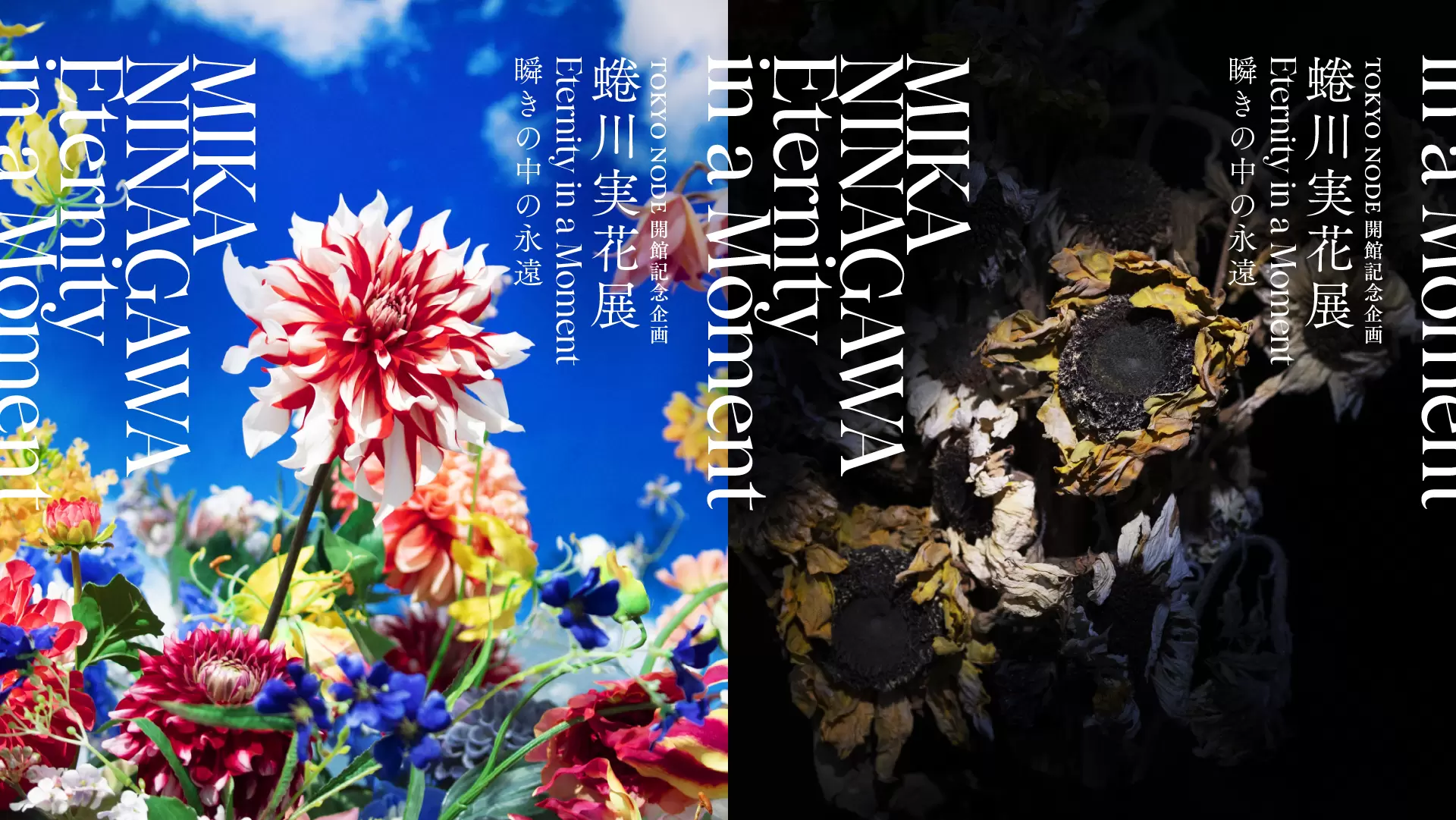 니가와 미나가 창조하는 낙원! 사상 최대 규모의 전시회 「순간 속의 영원」이 도라노몬 힐즈에서 2024년까지 개최