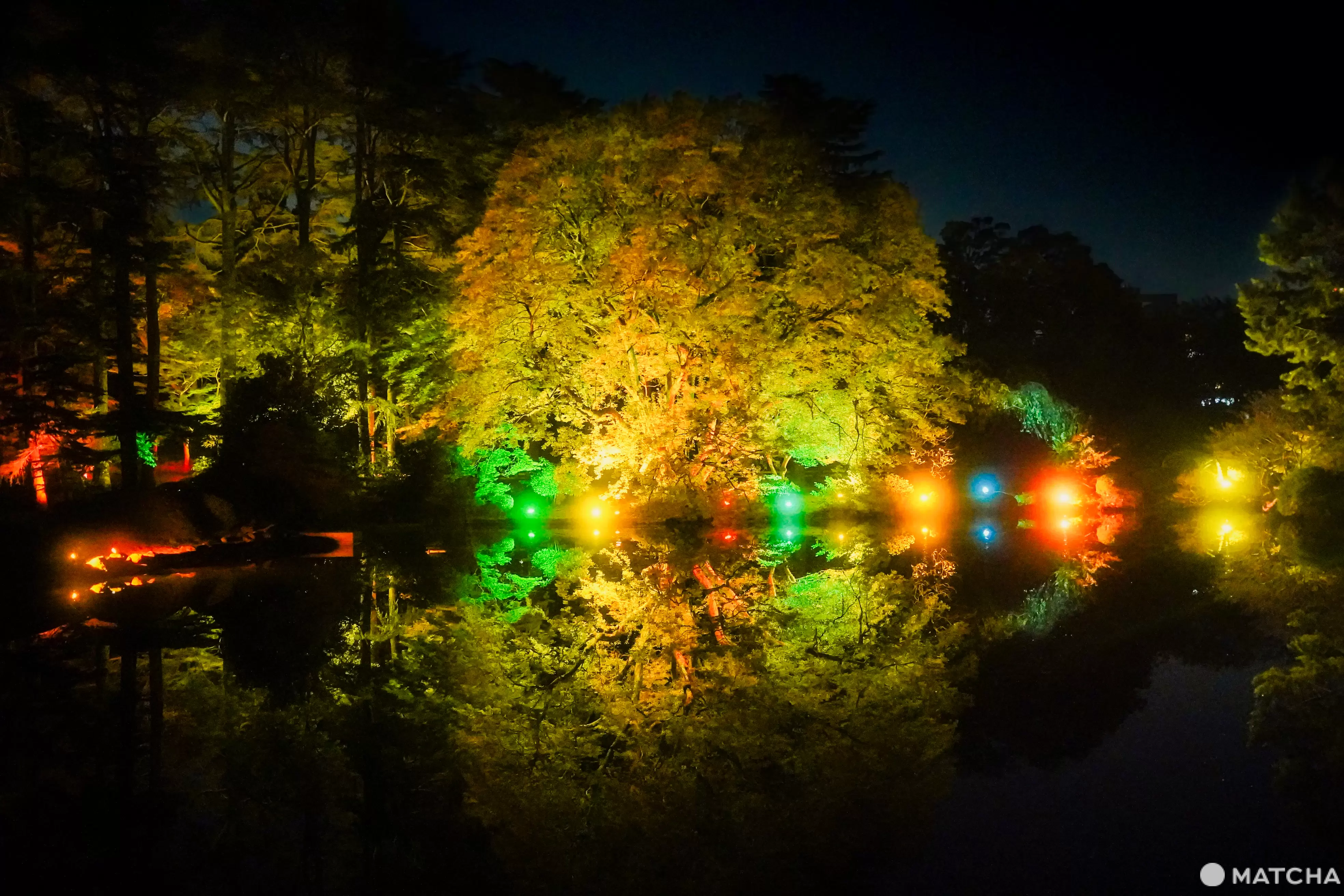 新宿御苑秋季楓葉點燈活動「NAKED紅葉新宿御苑2023」