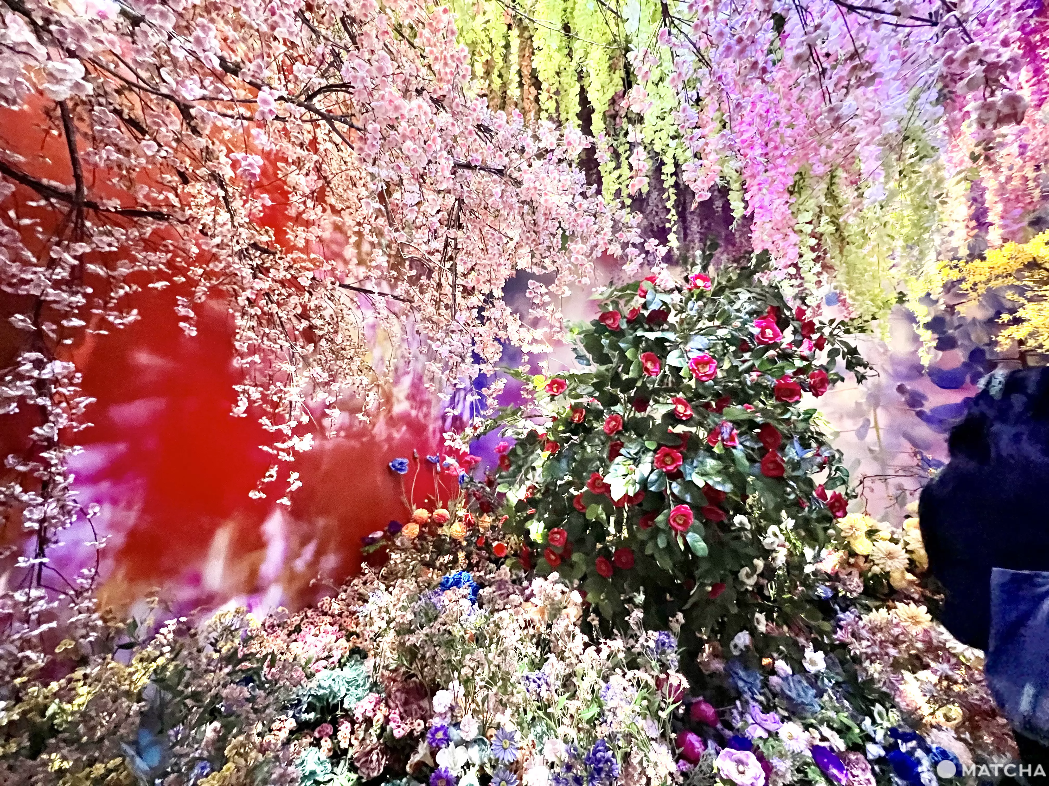 墜入蜷川實花打造的桃花源！史上最大展覽「瞬間中的永恆」虎之門之丘展至2024年