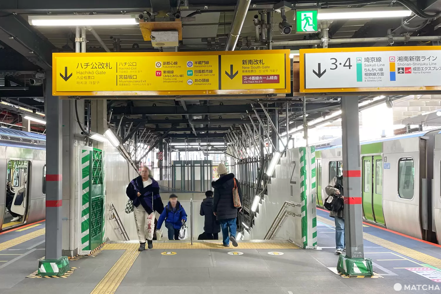 ハチ公改札への道