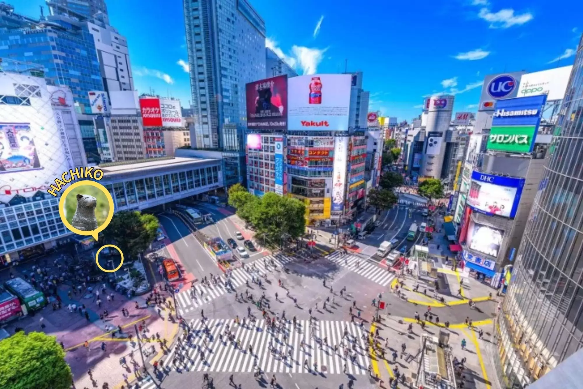 ハチ公改札から行けるスクランブル交差点