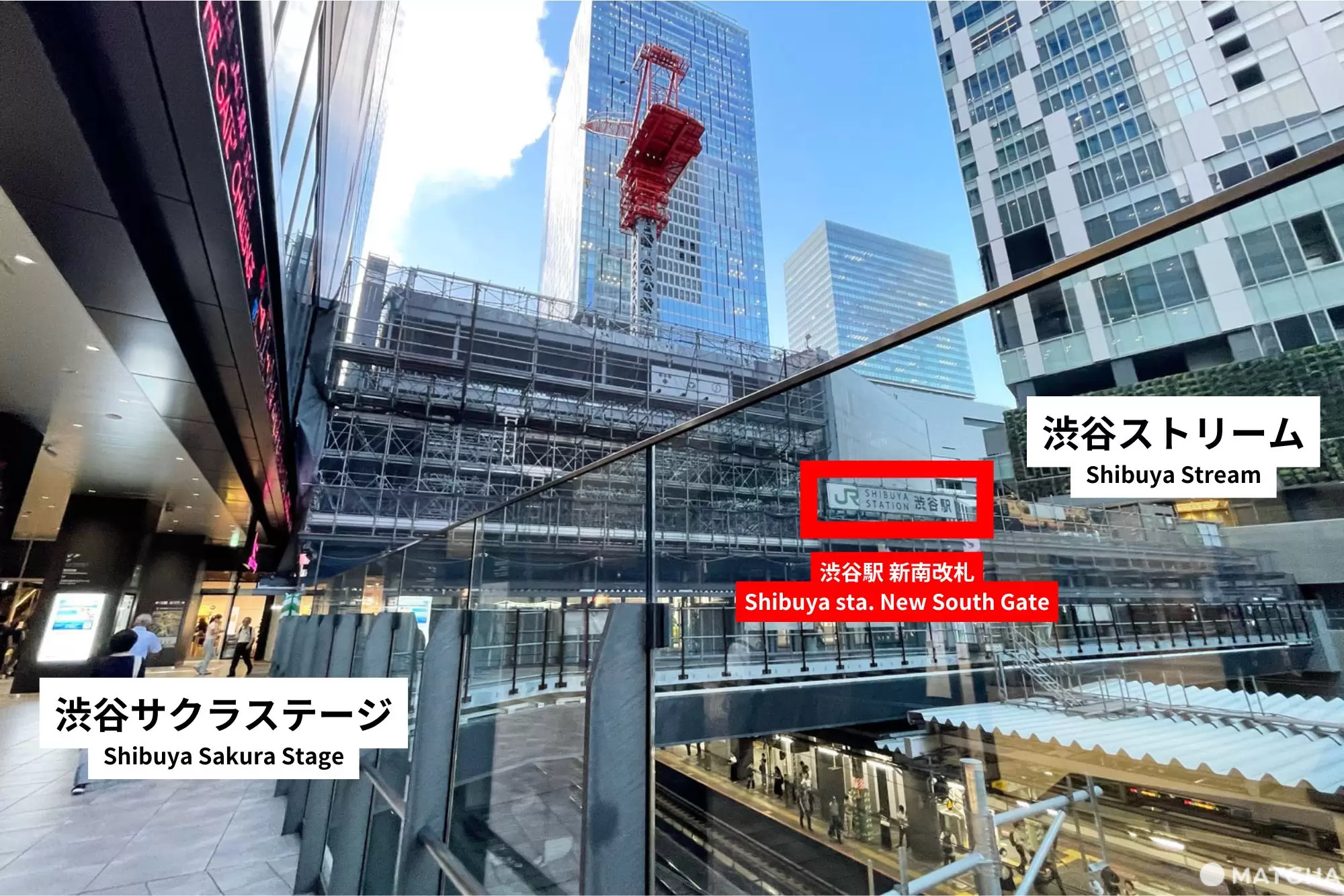 渋谷駅_新南改札