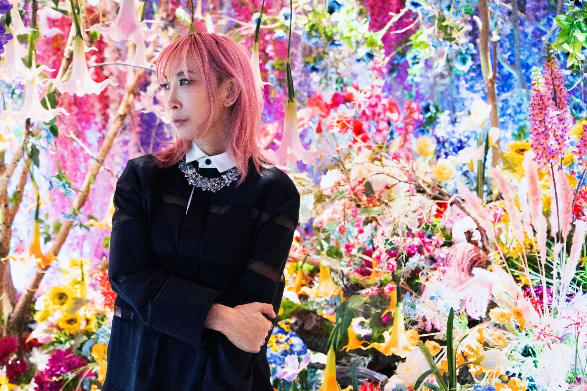 Art Event in Kyoto 2025: Mika Ninagawa's Exhibition at Kyocera Museum of Art