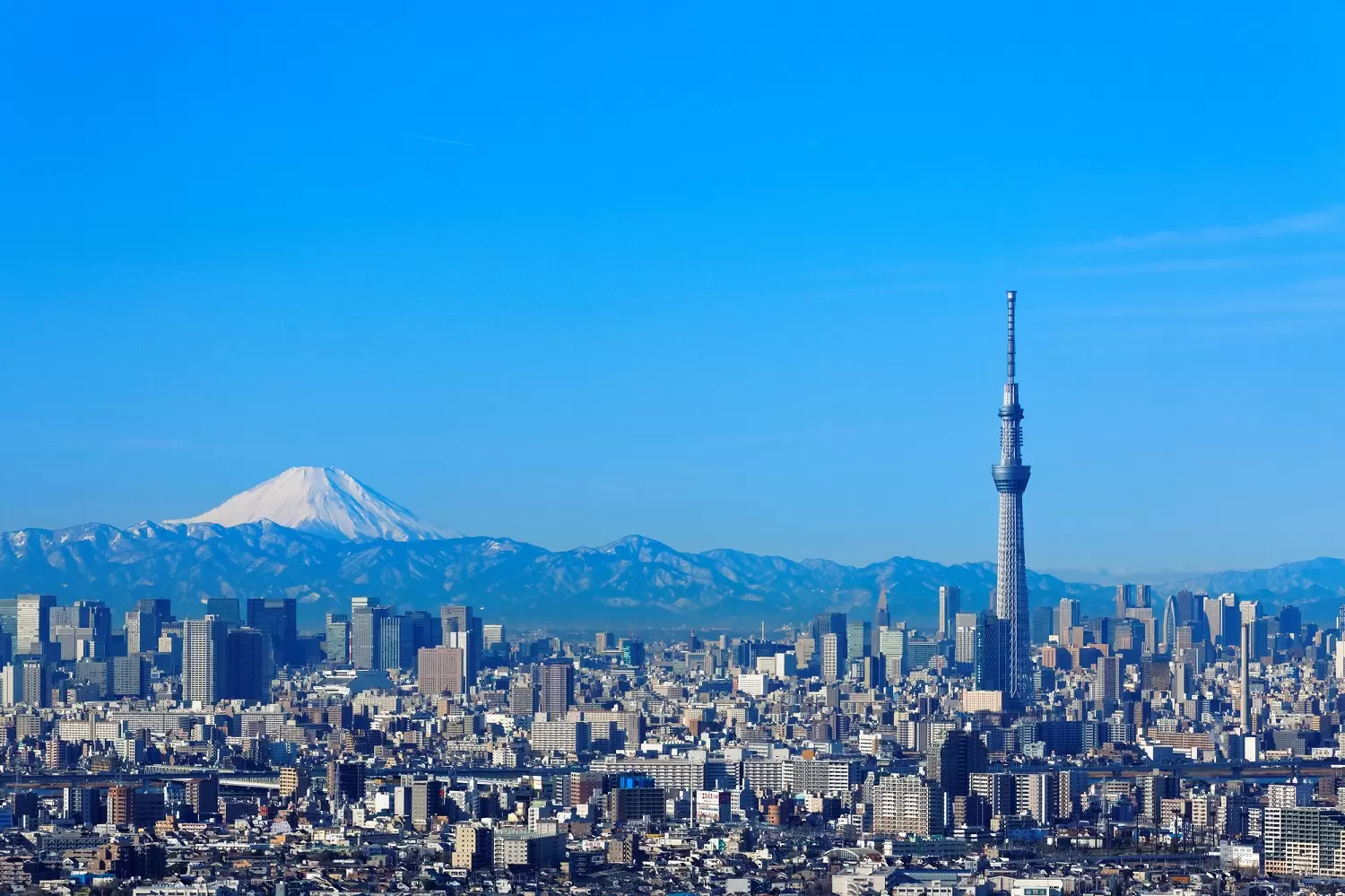 See the First Sunrise of 2026 at Tokyo Skytree! Special Event Details