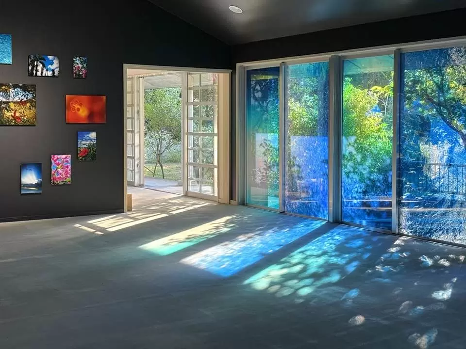 蜷川實花挑戰水中攝影！沖繩縣南城美術館「蜷川實花展 with EiM  與影子在光中共舞」展覽