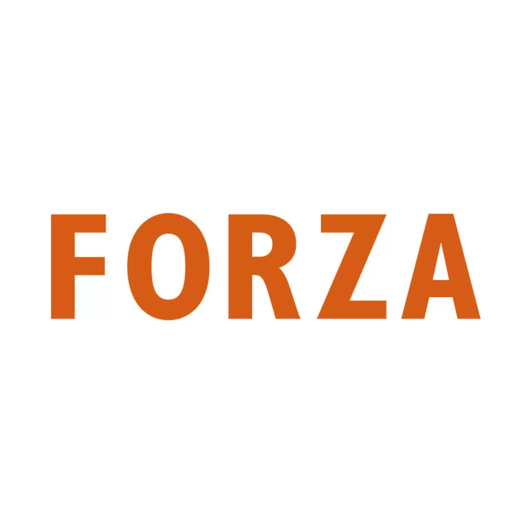 Hotel Forza