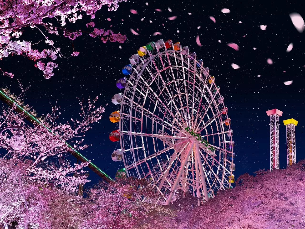 Enjoy Night Cherry Blossoms and Lights at Yomiuriland Tokyo