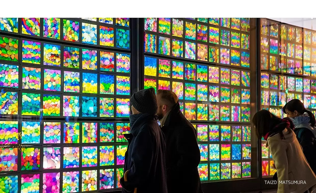 夢幻夜世界！「大阪光之饗宴2025」浪漫燈光藝術、互動光影秀