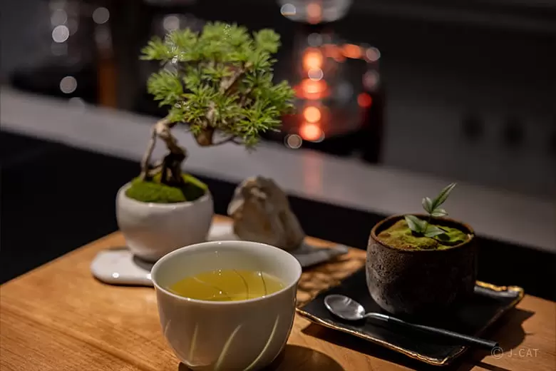 Nagoya bonsai