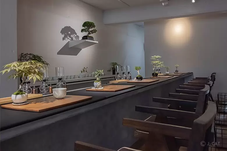 Nagoya bonsai