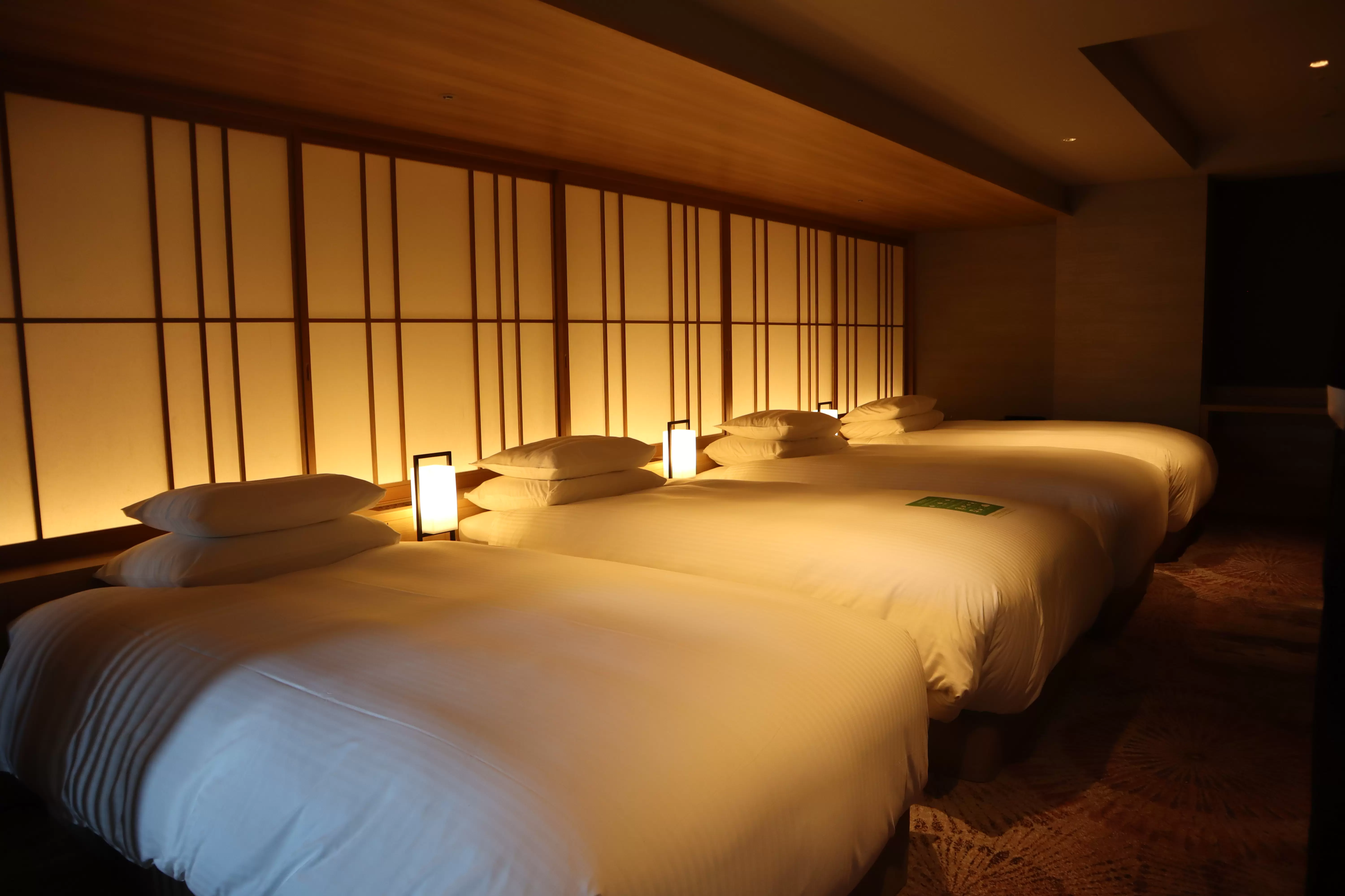 Deluxe Force Nagomi can accommodate up to 4 people<br />