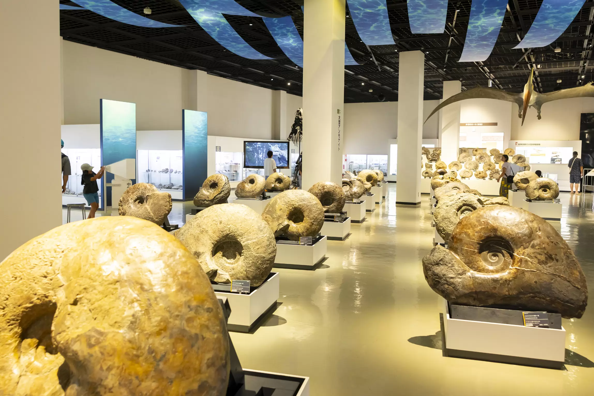 札幌から日帰り可能！2026年夏は三笠の「北海盆おどり」へ出かけよう