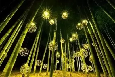 京都嵐山西山「秋季夜間點燈」10/1起唯美閃耀各地