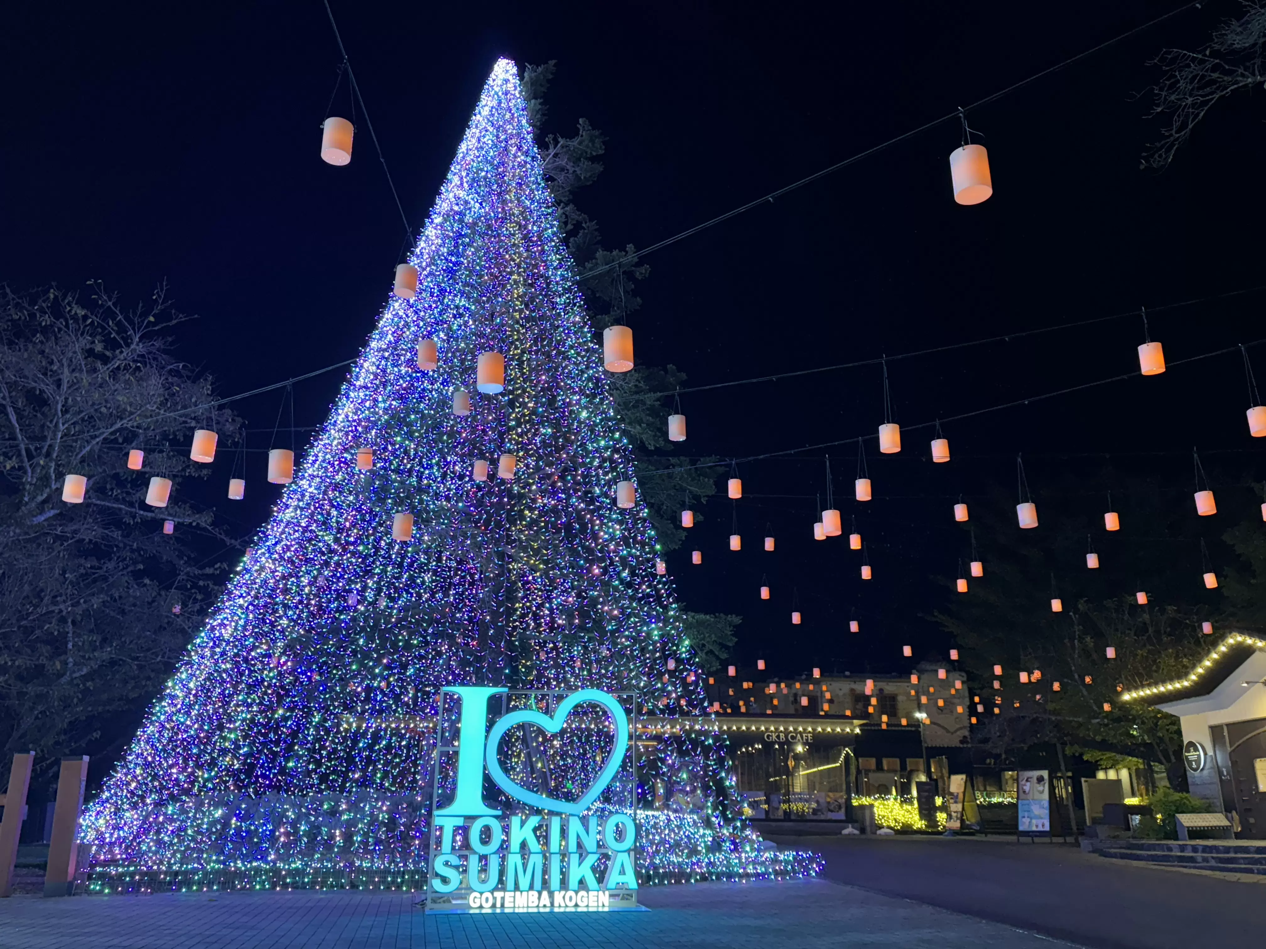 御殿場高原時之栖25週年燈飾「光之住所」富士山主題樹與300公尺光之隧道