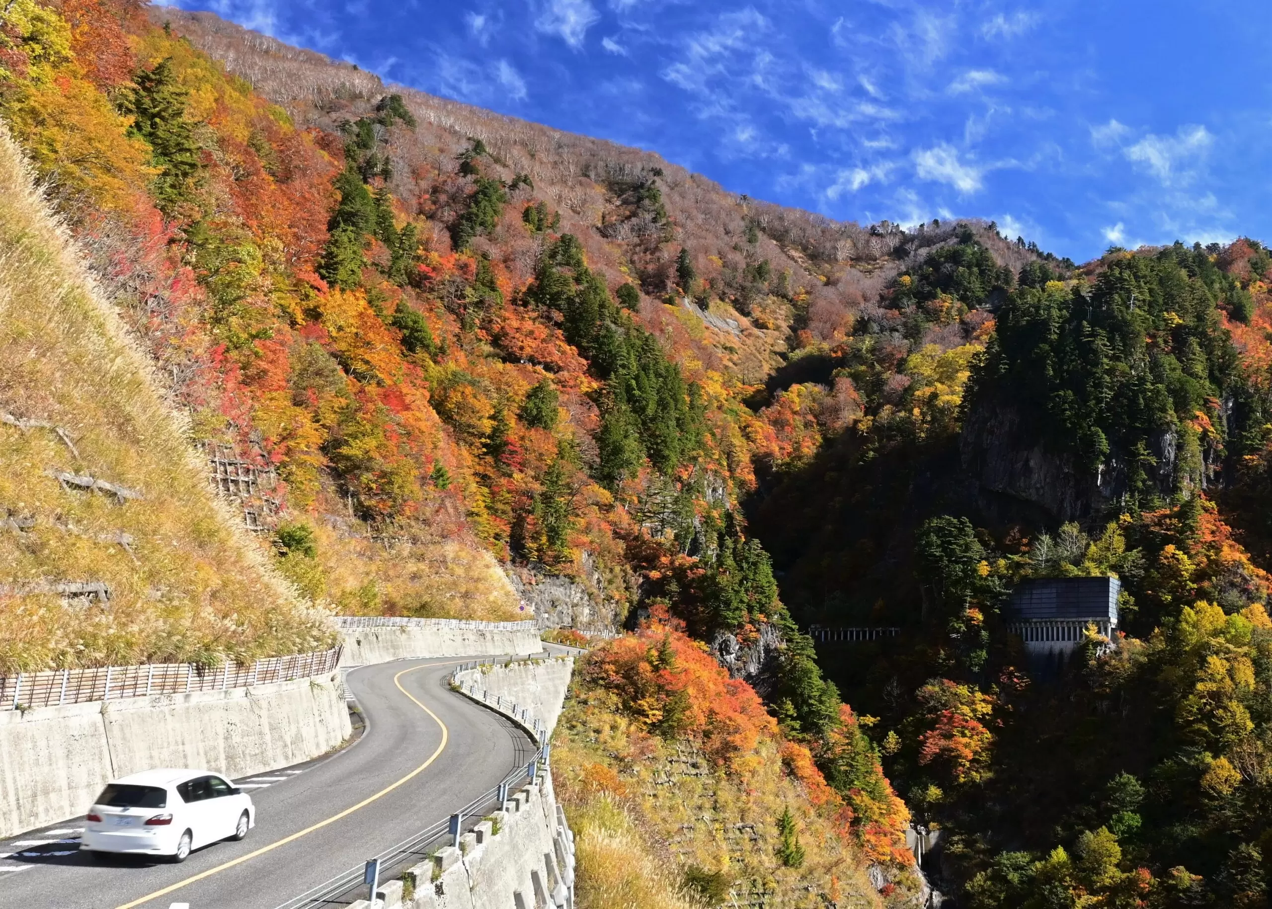 Hakusan Shirakawagou White Road<br /> 