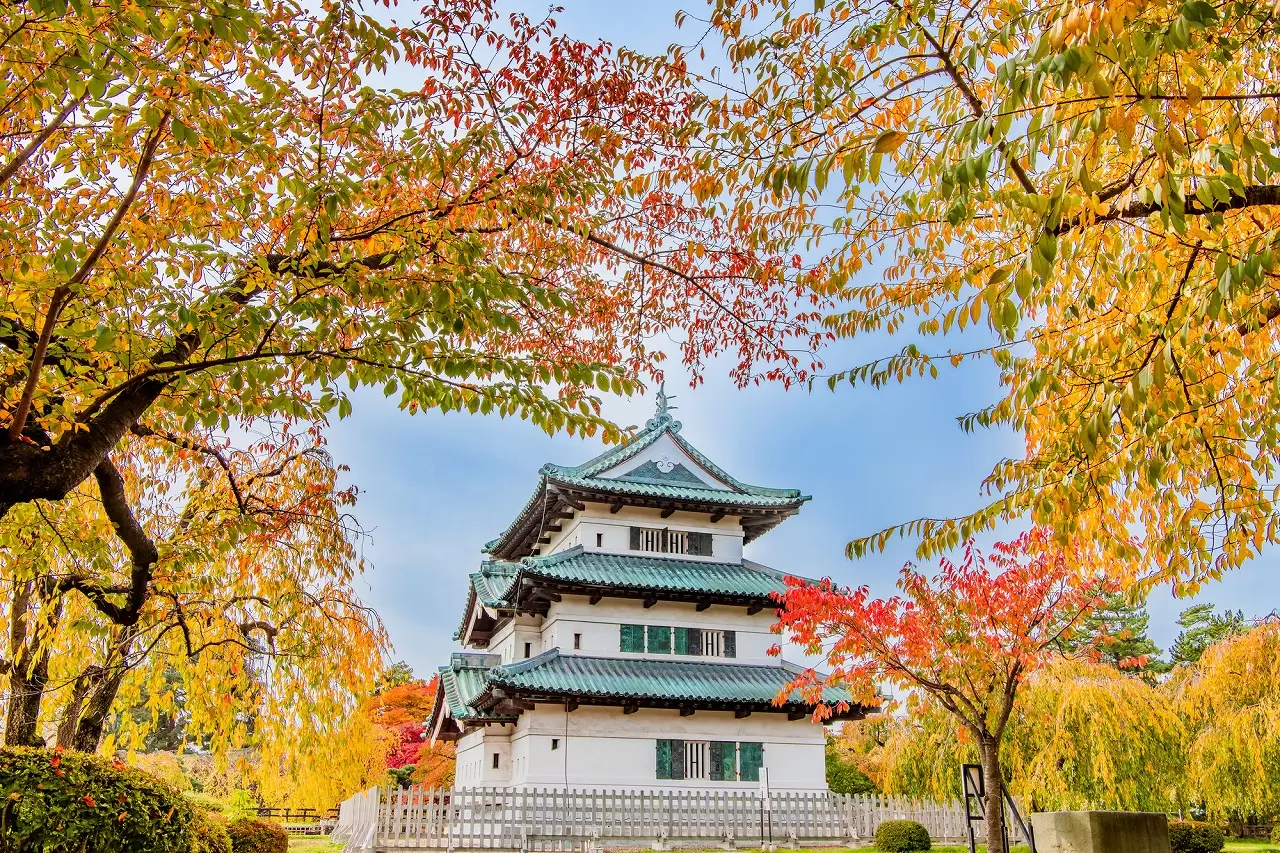 Hirosaki Castle Chrysanthemum and Autumn Foliage Festival 