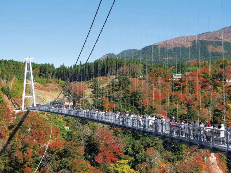 Provided by: Tourism Oita Public Interest Incorporated Association<br />