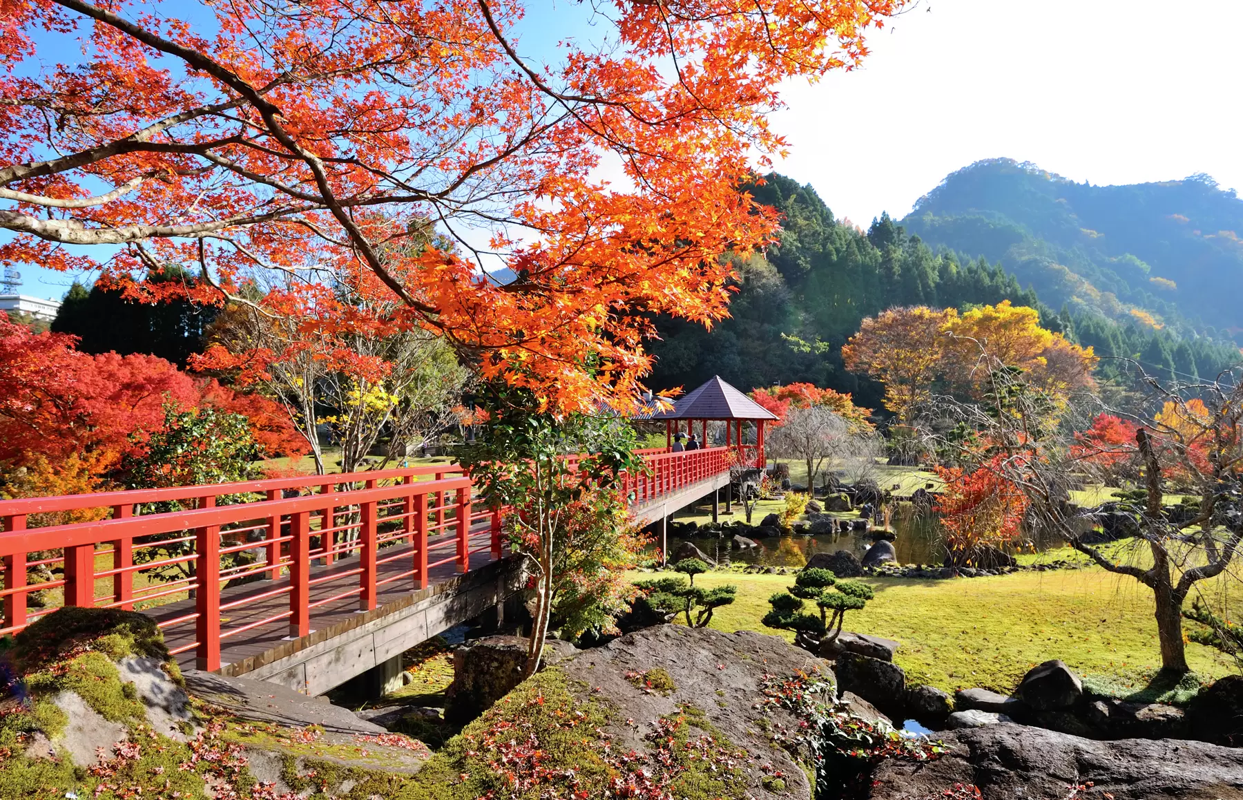 Provided by: Tourism Oita Public Interest Incorporated Association<br />