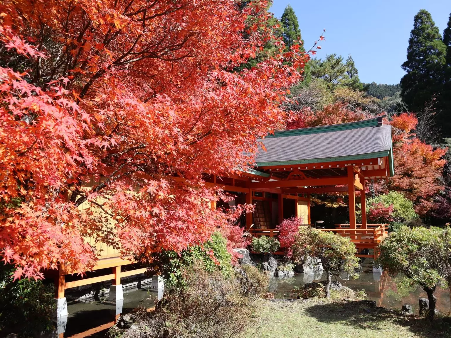 © Kumamoto Prefecture Tourism Federation<br />