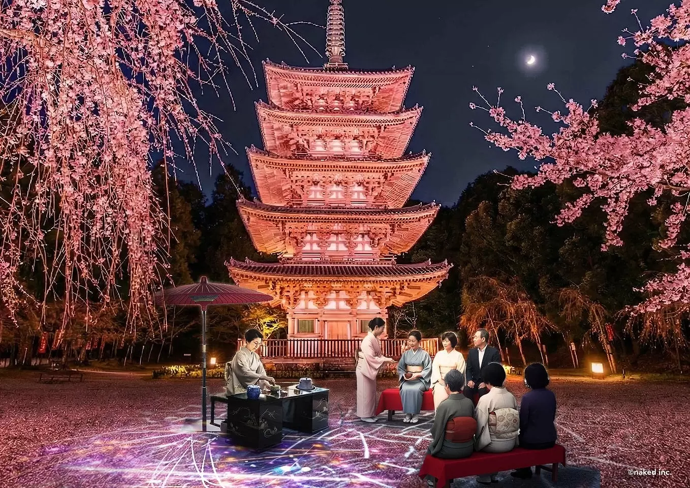 Daigo‑ji Temple in Spring: Cherry Blossom Illuminations and Tea