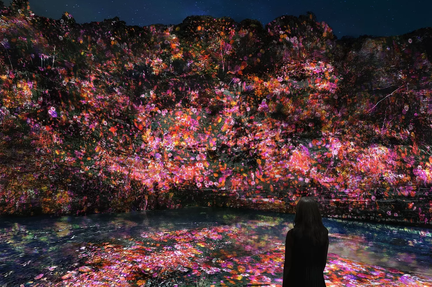 teamLab Yōrō Valley: Night Art in Chiba’s Geological Gorge