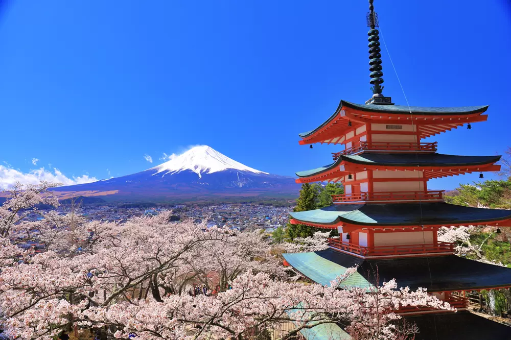 富士觀光開發股份有限公司