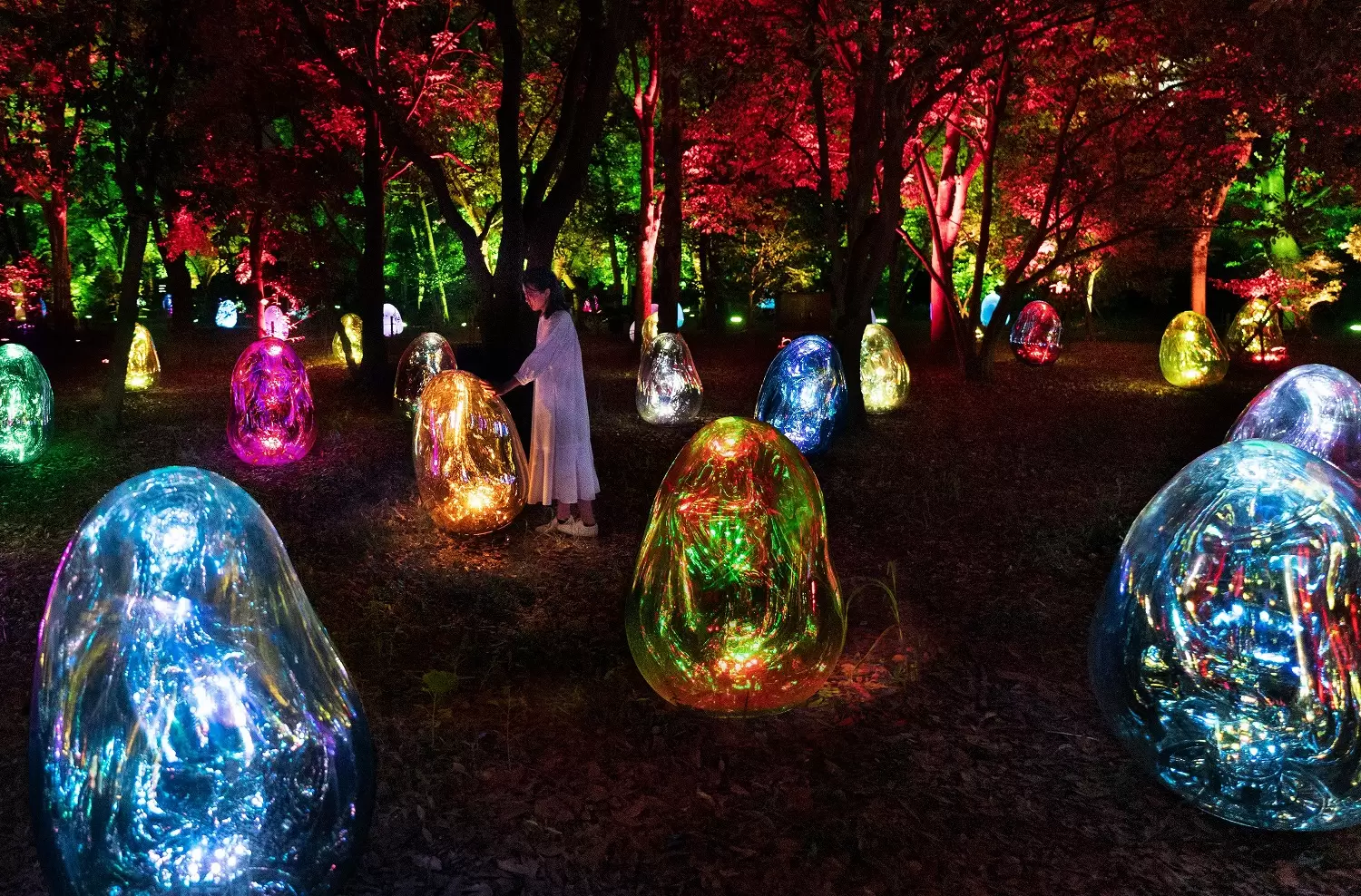 teamLab Hama-rikyu 2026: Tokyo Garden Lights and Art