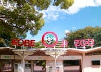 Meet A Giant Panda And Koalas - Only At Kobe Oji Zoo!