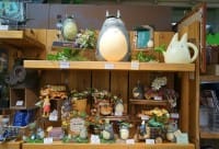 Donguri Republic: Find Charming Studio Ghibli Character-Themed Goods!