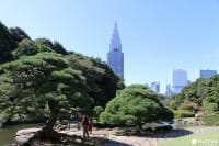 気になるアクセス情報から話題のショッピング・グルメスポットまで〜新宿完全攻略ガイド〜