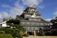 A Brief Guide For Your Next Stop After Korakuen - Okayama Castle!