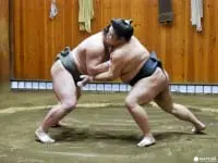 『東京新體驗』近距離感受肉貼肉的激烈碰撞，相撲晨練體驗