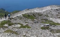 A Nature Rich Island: Visiting Kozushima Island Via Google Street View