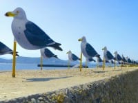 ストビュー_女木島