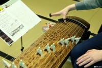 Koto - Discover The Sound Of An Amazing Traditional Instrument