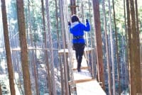 樹齢300年の杉の木が点在する森林で大冒険! 「フォレストアドベンチャー小田原」