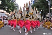 Awa Odori Festival In Kawasaki - Dance Your Way Through This Summer!